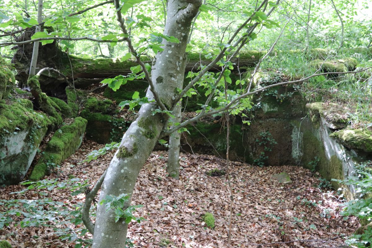 Bilder folgen!